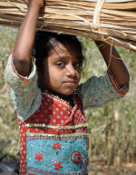 Adopt an unengaged people group